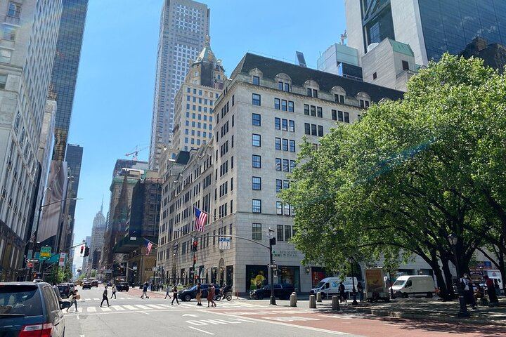 Millionaire's Row Walking Tour: Gilded Age Mansions of Fifth Avenue (10/12)