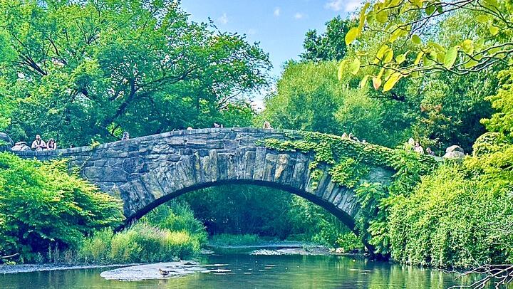 Home Alone 2 and Elf Filming Locations Tour in Central Park (4/11)