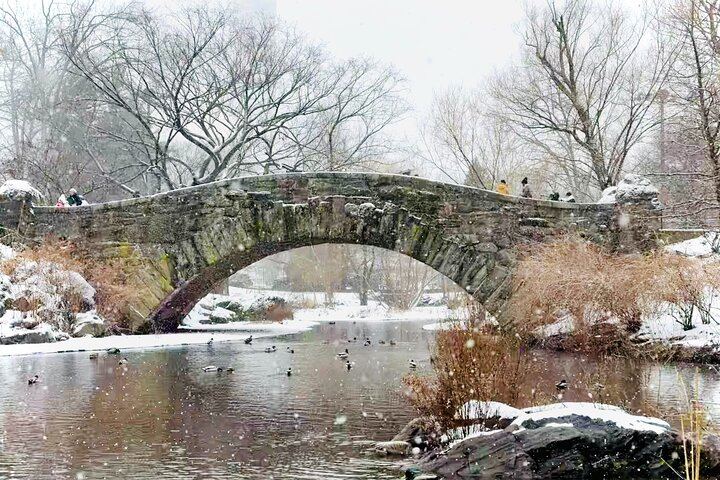 Home Alone 2 and Elf Filming Locations Tour in Central Park (10/11)