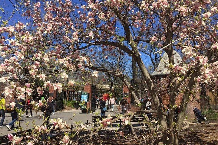Private Central Park Walking Tour: Bethesda, Bow Bridge and Strawberry Fields (6/9)