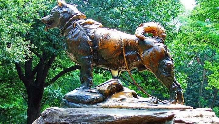 Central Park Self-Guided Audio Tour: 4-Mile App Route to the Reservoir (4/6)