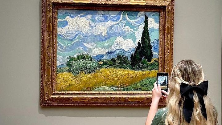 Metropolitan Museum of Art: Guided Tour or Orientation with Entry Ticket (2/12)