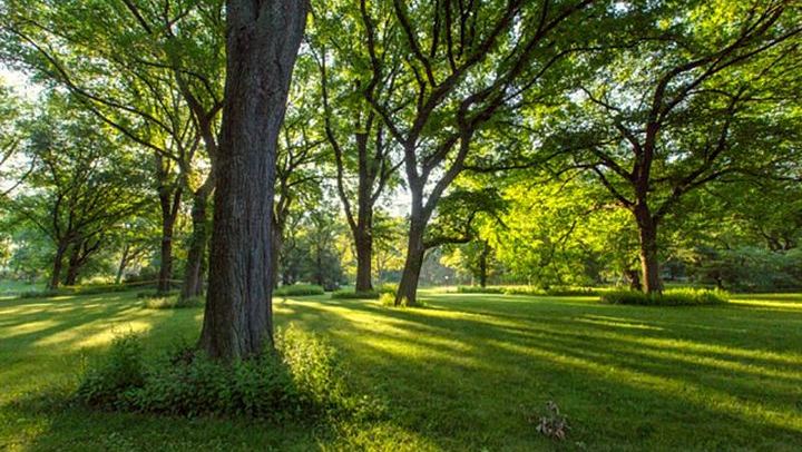 Central Park Walking Tour with Guide Michael Hunt (2/10)