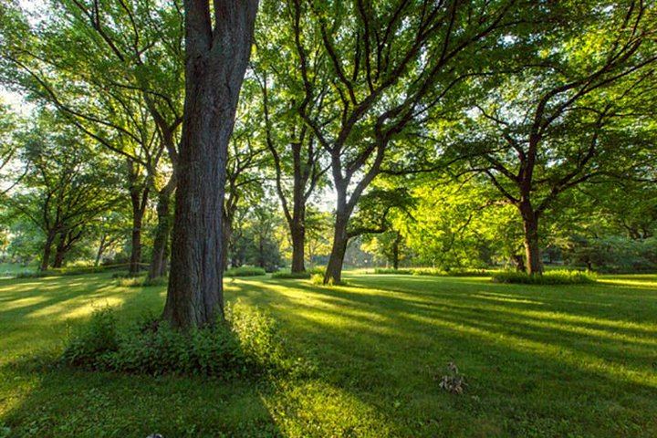 Central Park Walking Tour with Guide Michael Hunt (2/10)