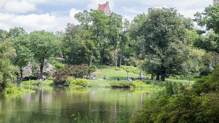 Central Park Walking Tour with Guide Michael Hunt (4/10)