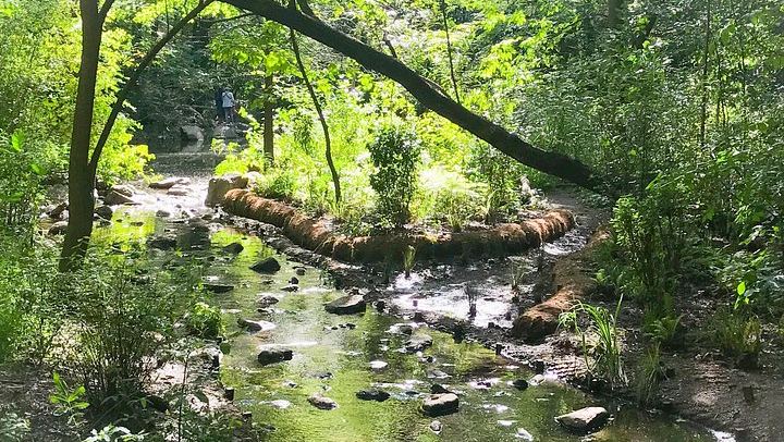 Secret Places of Central Park: North Woods, Forts and Conservatory Garden (3/7)