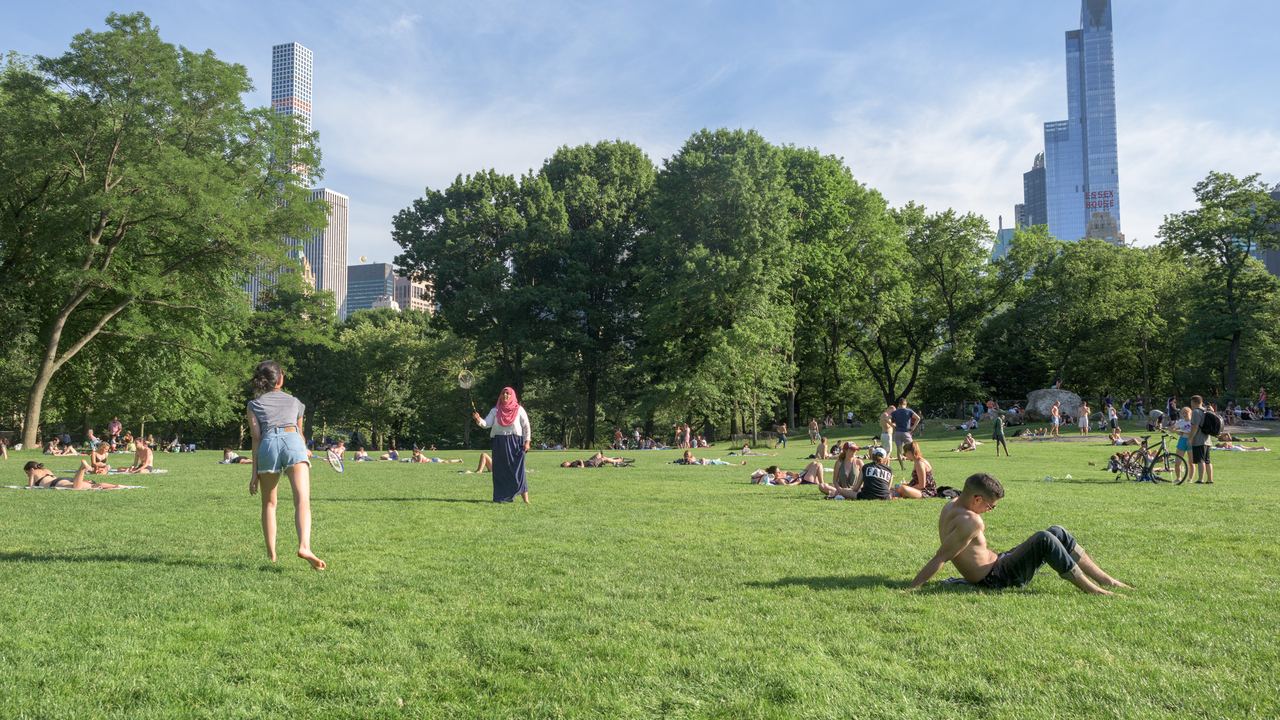 People relaxing on the Sheep Meadow in Central Park on a summer day, with Midtown Manhattan towers above the trees