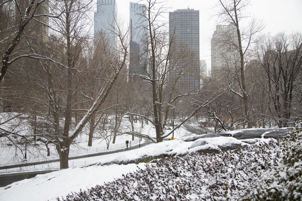 Snow falling on a path lined with bare trees in Central Park, New York, with Midtown towers in the background