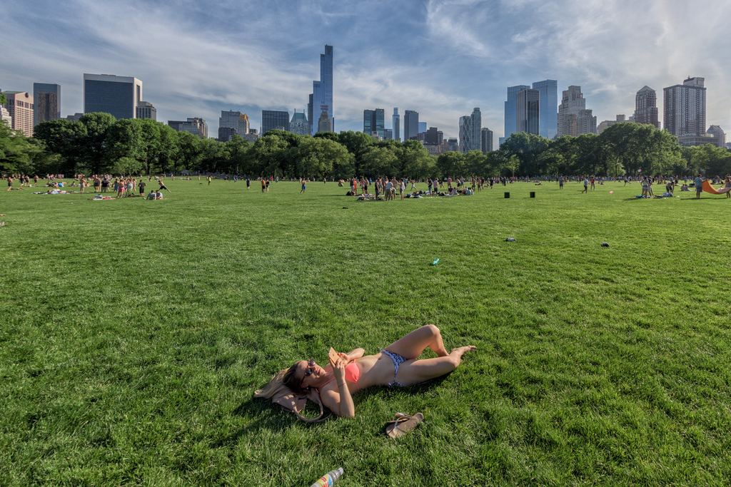 People sunbathing on a wide lawn in Central Park on a summer Sunday, with the Midtown Manhattan skyline behind