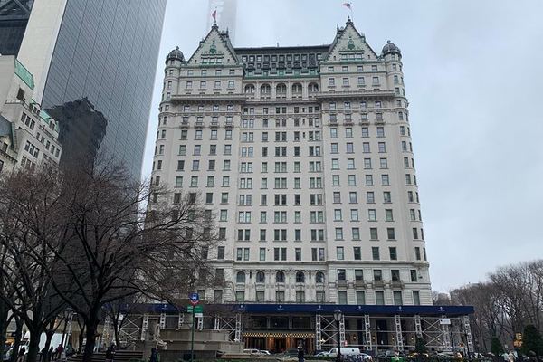 Private Fifth Avenue Gilded Age Mansions Walk, Plaza Hotel to 92nd Street