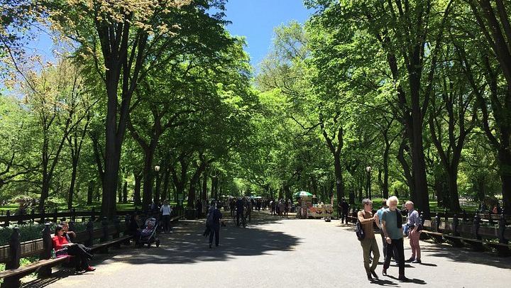 Private Central Park Walking Tour: Bethesda, Bow Bridge and Strawberry Fields (4/9)