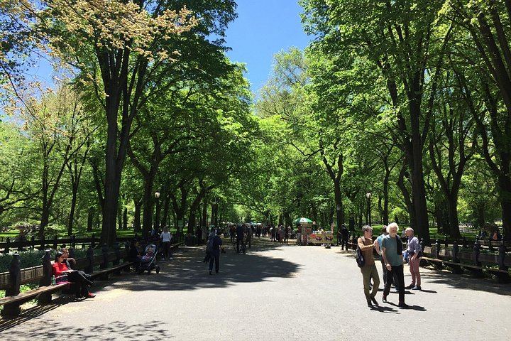 Private Central Park Walking Tour: Bethesda, Bow Bridge and Strawberry Fields (4/9)