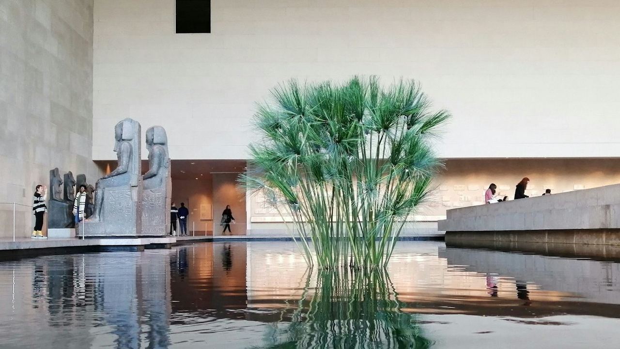 Metropolitan Museum of Art Guided Tour with Entry Ticket (4/12)
