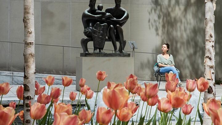 MoMA Admission Ticket with Audio Guide, Films and MoMA PS1 Entry (4/10)