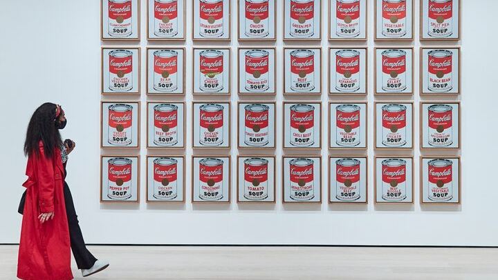 MoMA Admission Ticket with Audio Guide, Films and MoMA PS1 Entry (3/10)
