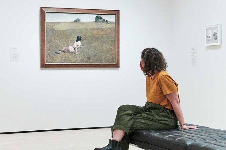 MoMA Admission Ticket with Audio Guide, Films and MoMA PS1 Entry (6/10)