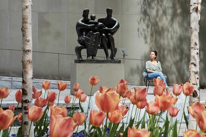 MoMA Admission Ticket with Audio Guide, Films and MoMA PS1 Entry (4/10)