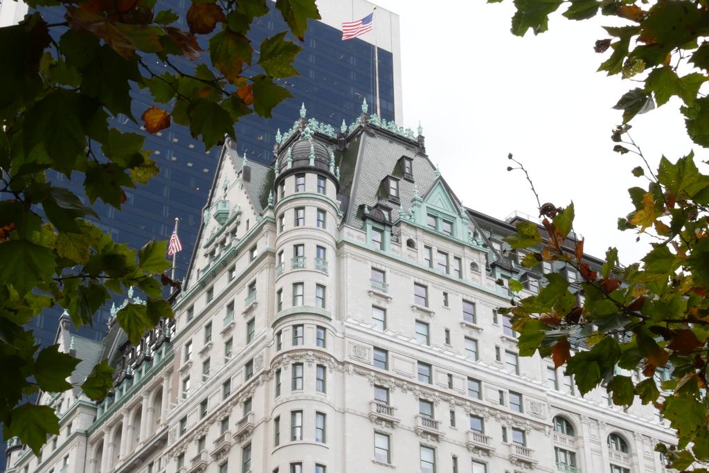 The green copper mansard roofs and turrets of the Plaza Hotel on Fifth Avenue, framed by autumn leaves from Grand Army Plaza