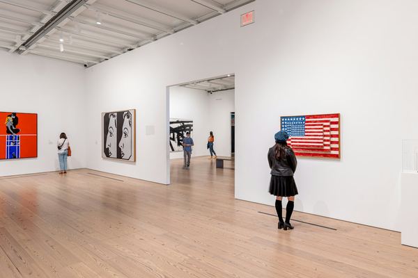 Whitney Museum Ticket: Special Exhibitions, Collection and Terraces